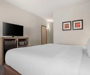 Photo 4 - Comfort Inn Greenville I-65