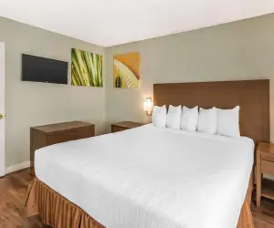 Photo 5 - Best Western Inn at Palm Springs