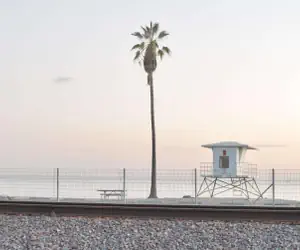 Photo 5 - Hilton Vacation Club Riviera Beach & Shores