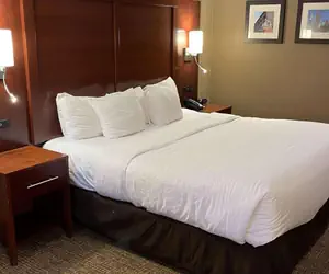 Photo 3 - Comfort Inn Indianapolis South I-65