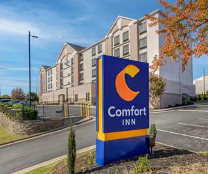 Photo 3 - Comfort Inn Greensboro - Kernersville