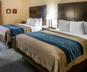 Photo 5 - Comfort Inn Gallup I-40 Exit 20