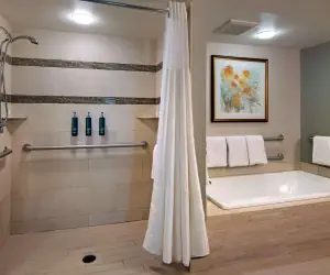 Photo 3 - DoubleTree by Hilton Washington DC – Crystal City