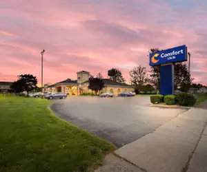 Photo 2 - Comfort Inn