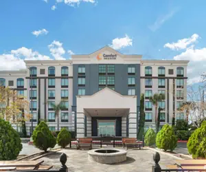 Photo 2 - Comfort Inn & Suites New Orleans Airport North