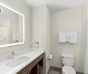 Photo 3 - Holiday Inn Express Hotel & Suites Ooltewah Springs - Chattanooga, an IHG Hotel