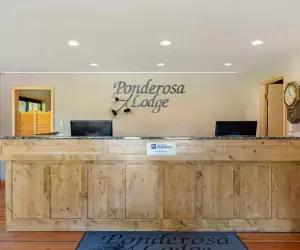 Photo 4 - Best Western Ponderosa Lodge