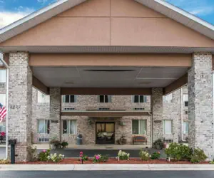 Photo 3 - Comfort Inn Whitehall near Michigan's Adventure