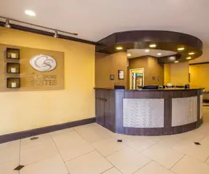 Photo 4 - Comfort Suites Simpsonville - Greenville