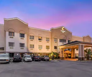 Photo 5 - Comfort Inn Summerville - Charleston