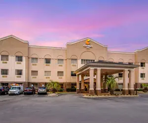 Photo 3 - Comfort Inn Summerville - Charleston