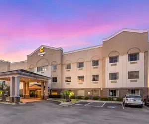 Photo 4 - Comfort Inn Summerville - Charleston