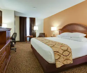 Photo 3 - Wingate by Wyndham St Louis-Fenton Route 66