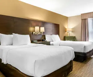 Photo 5 - Quality Inn & Suites