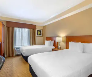 Photo 5 - Best Western Plus Kingsland