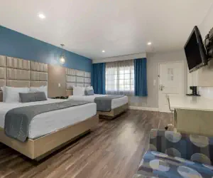 Photo 5 - Best Western Orange Plaza