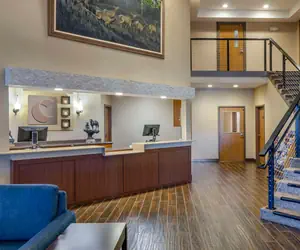 Photo 4 - Comfort Inn Bozeman near University