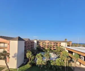 Photo 4 - Beachfront Palms Hotel Galveston