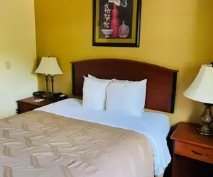 Photo 4 - Quality Inn & Suites