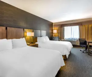 Photo 3 - Best Western Plus Cotton Tree Inn