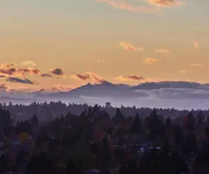 Photo 5 - Graduate by Hilton Seattle