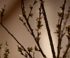 Photo 5 - Renaissance Boulder Flatiron Hotel