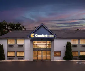 Photo 2 - Comfort Inn Traverse City