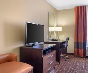 Photo 5 - Comfort Inn & Suites Artesia