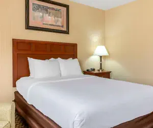 Photo 5 - Comfort Inn Traverse City