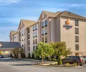 Photo 4 - Comfort Inn Greensboro - Kernersville