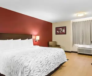 Photo 3 - Red Roof Inn PLUS+ Jacksonville – Southpoint