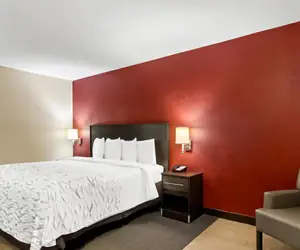 Photo 2 - Red Roof Inn PLUS+ Jacksonville – Southpoint
