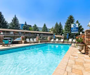 Photo 4 - Best Western Driftwood Inn