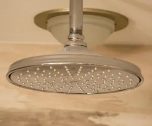 Photo 4 - The Delavan Hotel