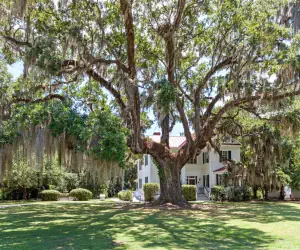 Photo 5 - Knights Inn Point South Yemassee