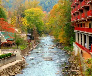 Photo 5 - Baymont by Wyndham Gatlinburg On The River