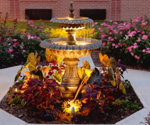 Photo 4 - Ann Arbor Regent Hotel and Suites