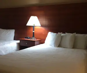 Photo 4 - Baymont by Wyndham Paducah