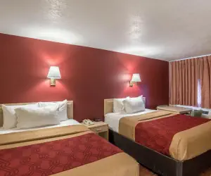 Photo 3 - Econo Lodge I-40 Exit 286-Holbrook Holbrook