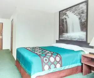 Photo 2 - Super 8 by Wyndham Reedsburg