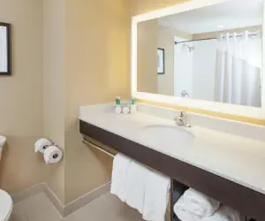 Photo 3 - Holiday Inn Express & Suites Sandusky, an IHG Hotel