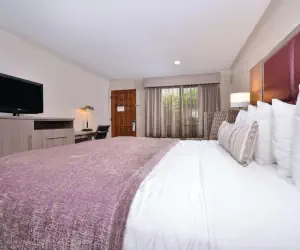 Photo 4 - Best Western Inn Santa Cruz