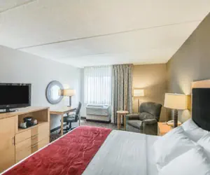 Photo 4 - Comfort Inn - NYS Fairgrounds