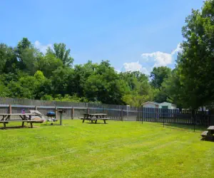 Photo 2 - Microtel Inn & Suites by Wyndham Cherokee