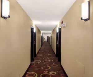 Photo 3 - Super 8 by Wyndham Joplin