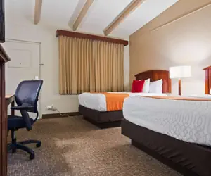 Photo 3 - Best Western University Inn