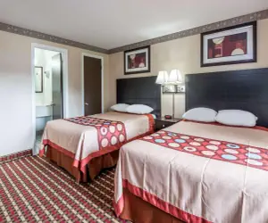 Photo 4 - Super 8 by Wyndham Old Saybrook