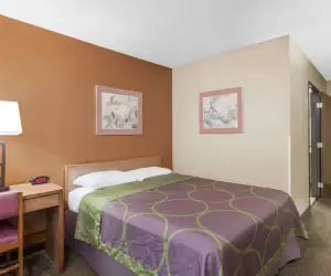 Photo 5 - Super 8 by Wyndham Charlotte/Amusement Park Area