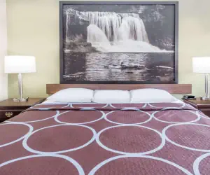 Photo 4 - Super 8 by Wyndham Logansport