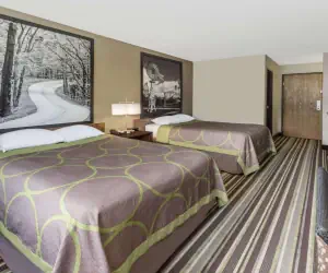 Photo 4 - Super 8 by Wyndham Plymouth